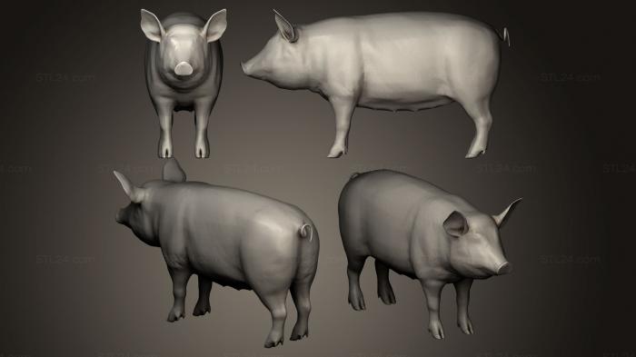 Animal figurines (Pork Cuts Diagram, STKJ_0607) 3D models for cnc